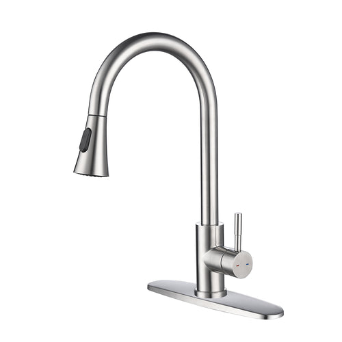 Kitchen Faucet with Pull Out Sprayer