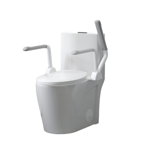 One-Piece Toilet Dual Flush Soft Close Seat ADA Height 17