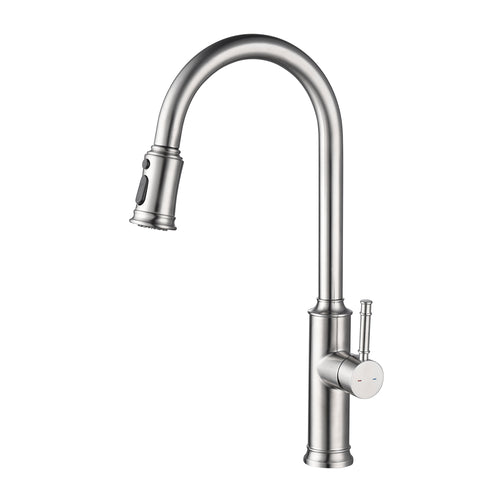 Kitchen Faucet with Pull Out Sprayer