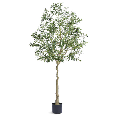 6 FT Artificial Olive Tree, Faux Plant PE Material, Anti-Tip