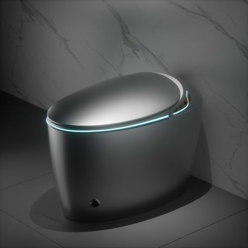 Smart Toilet One-Piece Gray Bidet Auto Lid Heated Seat Night Light 1.28 GPF