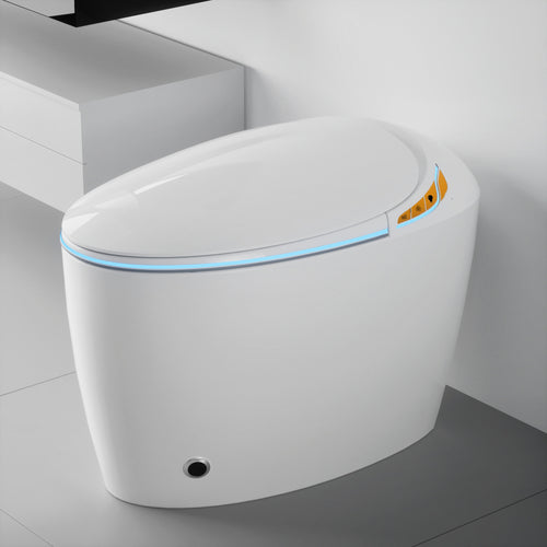Unique Smart Toilet with Bidet Built In, Intelligent One Piece Toilet For Mod...