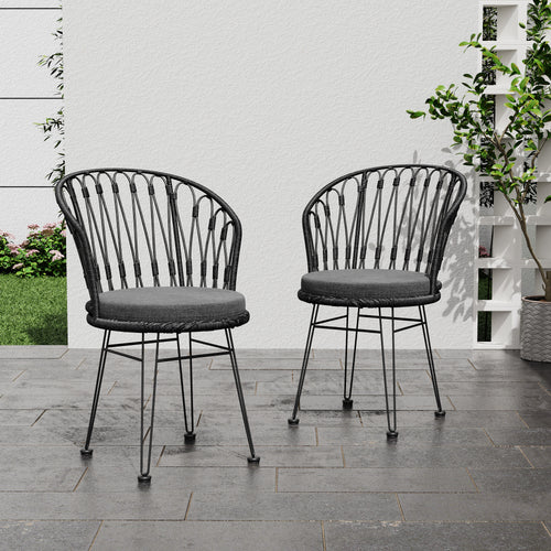 Tavon Gray Chair Set with 2 Cushions