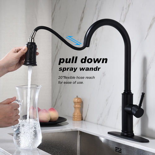 Kitchen Faucet with Pull Out Sprayer
