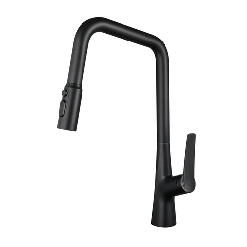 Matte Black Professional Kitchen Faucet 360 Sprayer One Touch