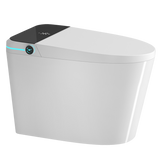 Modern Smart Toilet with Bidet Seat Built-in
