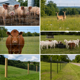 Farm Livestock Fence, 5.9*328FT Galvanised Iron Wire Farm Fence Cattle Fence