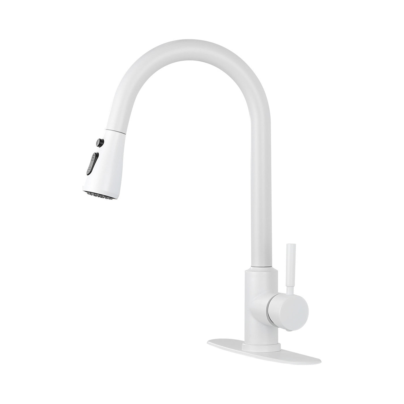 Kitchen Faucet with Pull Out Sprayer