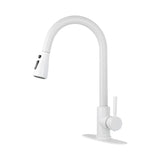 Kitchen Faucet with Pull Out Sprayer