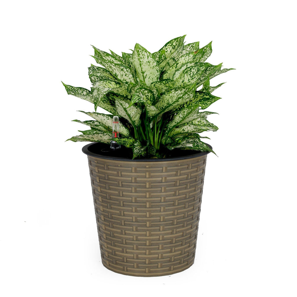 10.2 Inch Self Watering Wicker Planter For Indoor Outdoor Home Use Round Natural