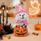 Halloween White Teddy Puppy Figurine, Witch Dog Holding Pumpkin Candy Bowl Decor