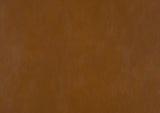 25566176