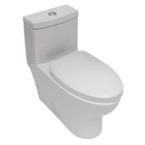 Modern White Ceramic One Piece Toilet Dual Flush Soft Close