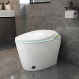 Unique Smart Toile, One Piece Toilet with Bidet Built