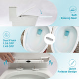 Ceramic One Piece Toilet for Bathroom, 12-inch Rough-In, 1.24/1.43 GPF