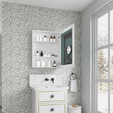Medicine Cabinet 24"W x 30"H - Frameless Beveled Mirror, Right-Opening