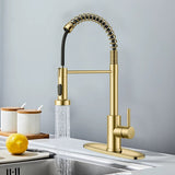 25618691