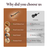 Professional 4/4 Full-Size Violin - Premium Sound