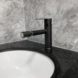 25650833
