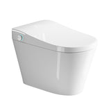Unique Smart Toile, One Piece Toilet with Bidet Built