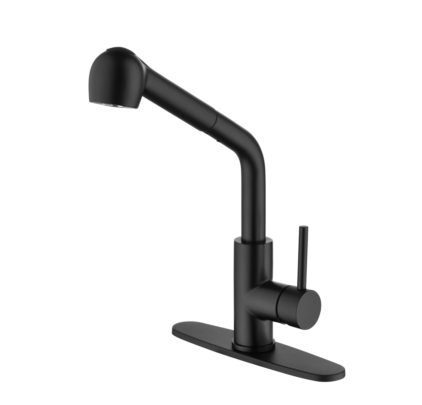 Matte Black Kitchen Sink Faucet with Pull Down Sprayer