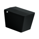 Black Square Smart Toilet with Built-in Tank for Bathroom, Remote Control