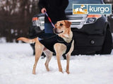 Waterproof North Country Dog Coat with LED Safety Light