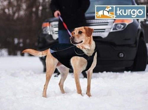 Waterproof North Country Dog Coat with LED Safety Light