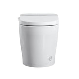 Tankless Smart Toilet With Bidet Built In, One-piece Bidet Toilet Seat