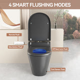 Unique Smart Toile, One Piece Toilet with Bidet Built
