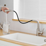 Brushed Nickel Kitchen Sink Faucet with Pull Down Sprayer