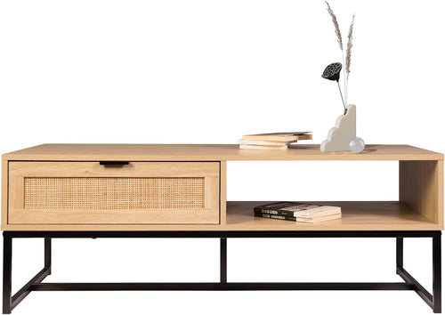 Cove Coastal Modern TV Stand with Storage Cubby