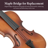 Professional 4/4 Full Size Violin Set - Durable, Lightweight Design