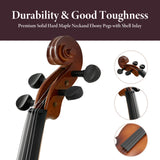 Professional 4/4 Full Size Violin Set - Durable, Lightweight Design