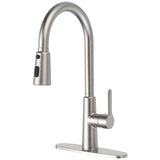 Brushed Nickel High Arc Kitchen Sink Faucet Pull Out Sprayer