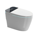 Tankless Smart Toilet With Bidet Built In, One-piece Bidet Toilet Seat
