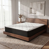Hybrid 13 Inch Plush Twin XL Mattress with Pocketed Coils