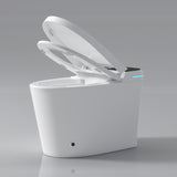 Modern Smart Toilet with Bidet Seat Built-in