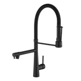 Black 360 Swivel Pull Down Kitchen Faucet Dual Outlet