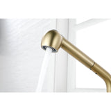 Single Handle Kitchen Sink Faucet Pull Out Sprayer