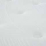 25381666