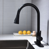 Kitchen Faucet Pull Out Sprayer Chrome Single Handle