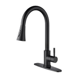 Kitchen Faucet Pull Out Sprayer Chrome Single Handle
