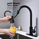 Kitchen Faucet Pull Out Sprayer Chrome Single Handle