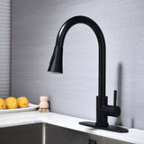 Kitchen Faucet Pull Out Sprayer Chrome Single Handle