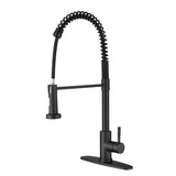 Kitchen Faucet Pull Out Sprayer
