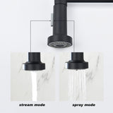 Kitchen Faucet Pull Out Sprayer