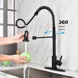 Kitchen Faucet Pull Out Sprayer