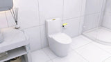 Elongated One Piece Toilet White