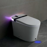 Smart Toilet with Bidet Seat Built-in, Auto Open/Close Seat, Foot Sensor